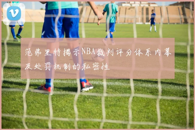 范弗里特揭示NBA裁判评分体系内幕及处罚机制的私密性
