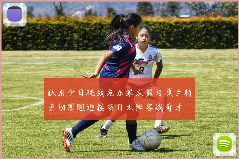 狄龙今日观战老东家灰熊与莫兰特亲切寒暄迎接明日太阳客战奇才