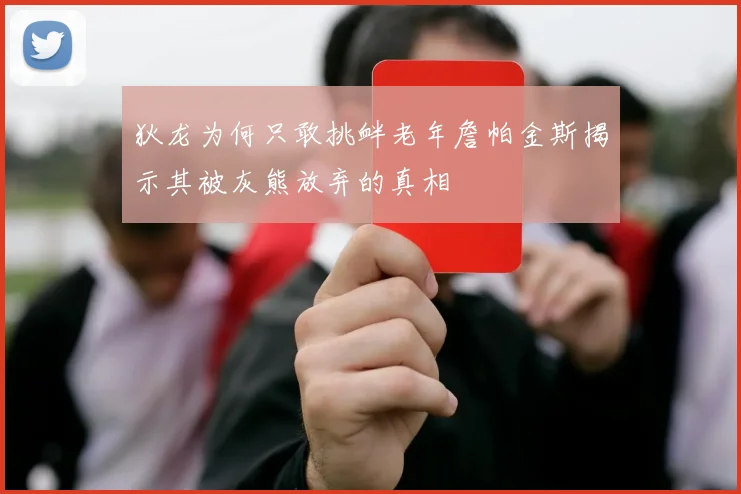 狄龙为何只敢挑衅老年詹帕金斯揭示其被灰熊放弃的真相