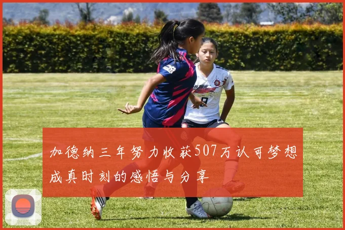 加德纳三年努力收获507万认可梦想成真时刻的感悟与分享